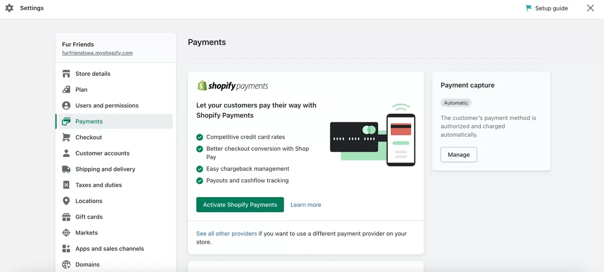 Shopify Setup Payment Options